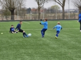 S.K.N.W.K. JO9-1 - ST FC De Westhoek '20/Z.S.C. '62 JO9-3 (competitie) 2024-2025 (3e fase) (49/100)